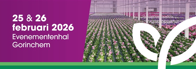 A9F126A4-311D-A8FF-2A4F-B8B1B3BC7E1C