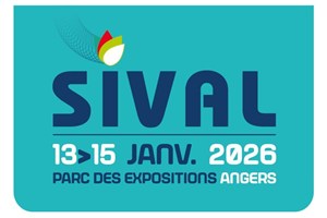 design_sans_titre_6_