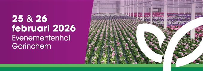 A9F126A4-311D-A8FF-2A4F-B8B1B3BC7E1C